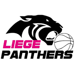 Home team logo