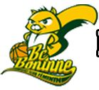 Home team logo