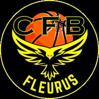 Home team logo
